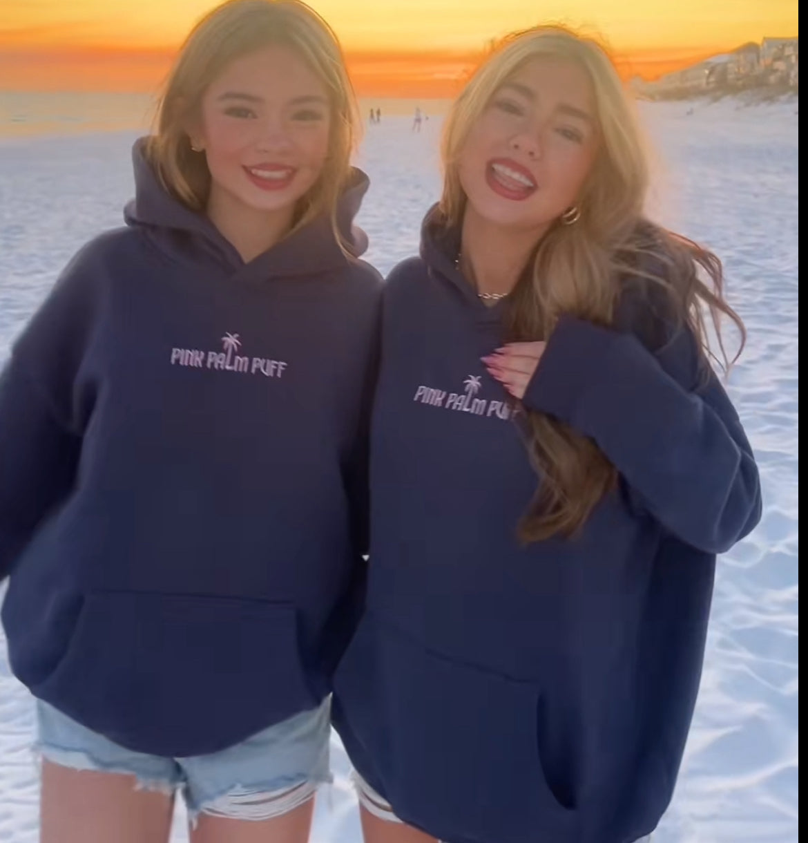 Classic Palm Hoodie